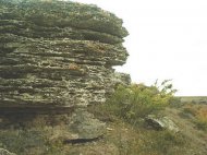 LOCUL FOSILIFER CREDINTA